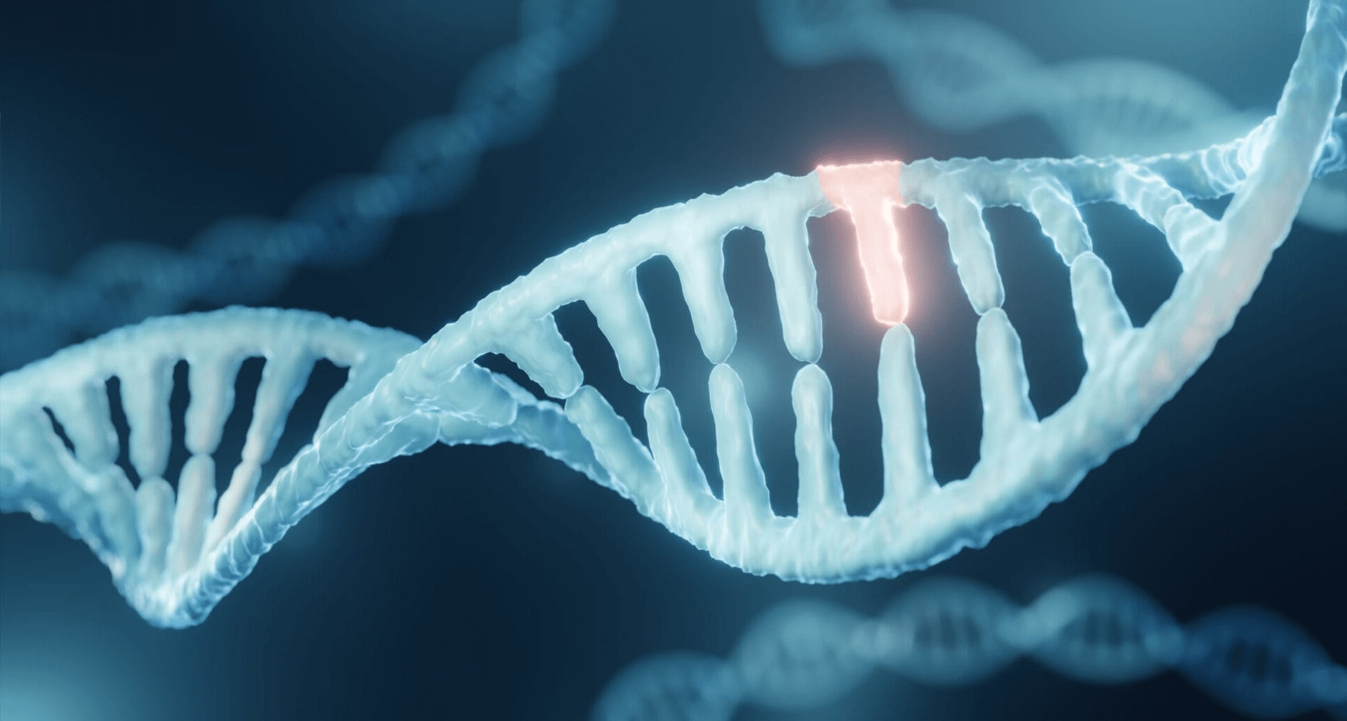 mutations génétiques